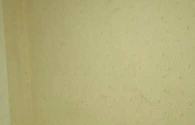 Imagem 15: Aluguel 3/4. Imóvel novo, 80m² de Área, 1 Vaga na garageme3 Dormitórios