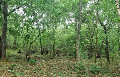 Imagem 8: Fazenda 2.750 hectares valor 8.250.000