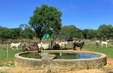 Imagem 9: FAZENDA À VENDA - 1.400 HECTARES - CURVELO MG