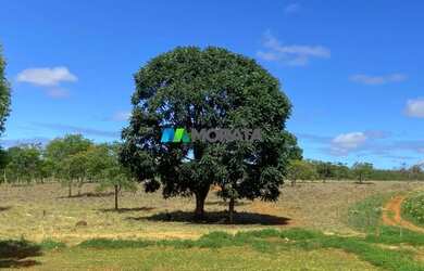 Imagem 15: FAZENDA À VENDA - 1.400 HECTARES - CURVELO MG