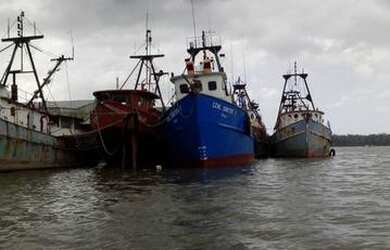 Imagem 5: Fazenda no Estado do Pará Com 300Ha, por R$1.8 milhões