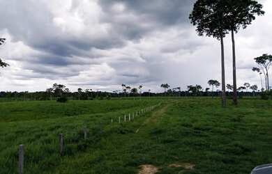 Imagem: A fazenda está localizado em Sena Madureira, AC à venda por