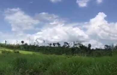Imagem 6: 250 Hectares por 1,6 milhões de reais no Pará