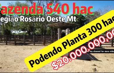 Imagem 1: fazenda dupla aptidão 540 hac