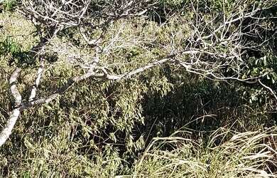 Imagem 6: Terreno no alto de buzios 10 30 com vista ao mar 120.000R