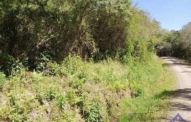 Imagem 10: CHÁCARA SÃO JOSÉ DO CAÍ