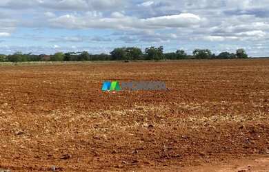 Imagem: A fazenda possui 1.400m² de Área, Imóvel novo e está localizado