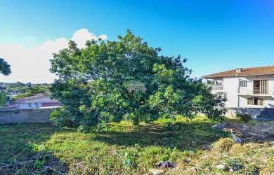 Imagem 10: Vendas Terreno Curitiba PR