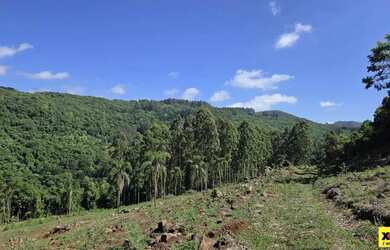 Imagem 10: Sítio / Chácara para Venda em Nova Petrópolis, São Jacó