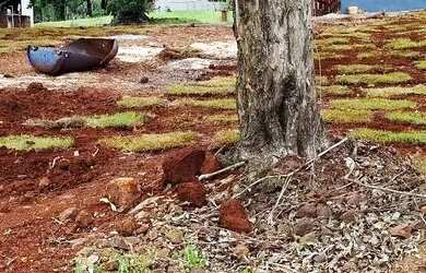 Imagem 5: Vendo lote no alagado em Três Barras do Paraná