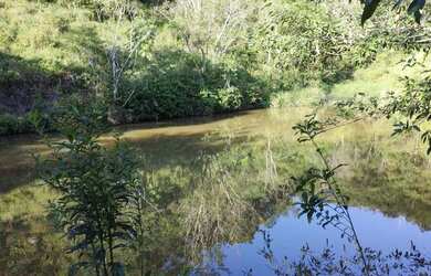 Imagem 12: Sítio 16 alqueires com 05 tanques