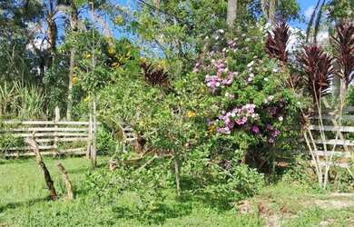 Imagem 7: Super chacrinha 157 mil reais teteinha