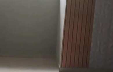 Imagem: VENDA APARTAMENTO NO DONA LINDU