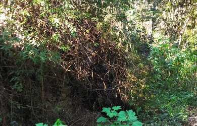 Imagem: O terreno possui 750m² de Área e está localizado em Campo