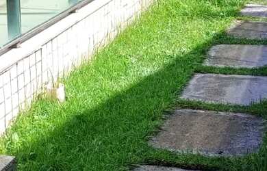 Imagem 3: Exclusividade: Casa 3 pavimentos maravilhosa com área de lazer completa em Interlagos