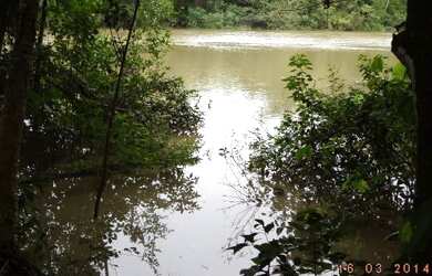 Imagem 2: Fazenda no Estado do Pará Com 300Ha, por R$1.8 milhões