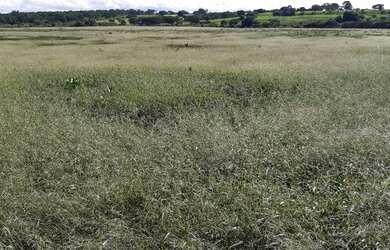 Imagem 10: Vendo fazenda em cocos BA