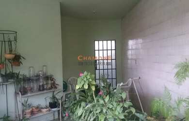 Imagem 9: Casa, loja e galpão. Varanda, 300m² de Área, 2 Banheirose3 Dormitórios