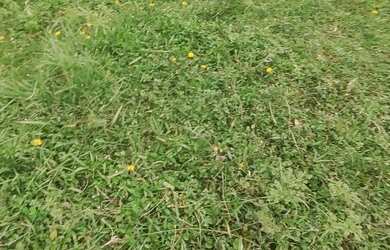 Imagem 1: 1.1 hectares pasto e capineira casarão 447 mil reais