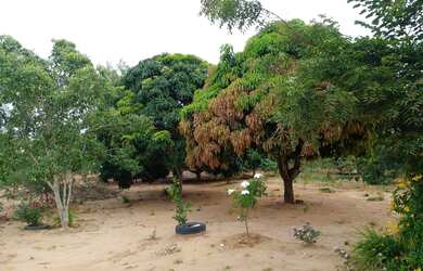 Imagem 8: Vende se sitio em maetinga