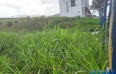 Imagem 5: AREA - JARDIM RINCÃO - SP