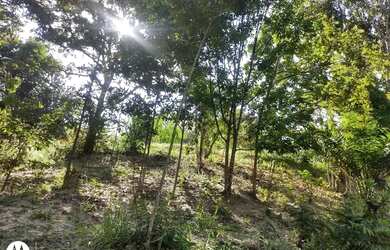 Imagem: A chácara possui 2.400m² de Área e está localizado em Simões