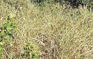 Imagem 5: Terreno no alto de buzios 10 30 com vista ao mar 120.000R