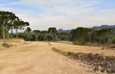 Imagem 11: EXCELENTE TERRENO INDUSTRIAL EM ANA RECH- CAXIAS DO SUL