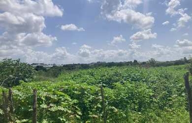 Imagem: O terreno possui 90.000m² de Área e está localizado em Área