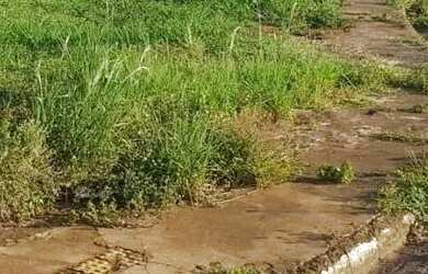 Imagem: O terreno possui 1.260m² de Área e está localizado em Loteamento