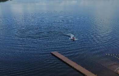 Imagem 4: Vendo Ágio de casa no Mansões Bouganville Corumbá IV
