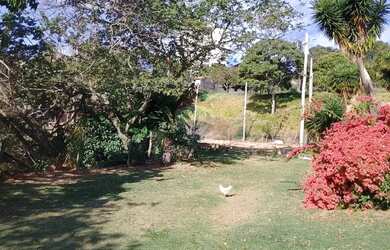 Imagem: O terreno possui 7500m² de Área e está localizado em Jardim