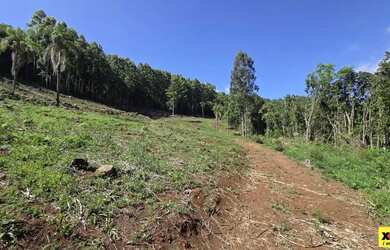 Imagem 5: Sítio / Chácara para Venda em Nova Petrópolis, São Jacó