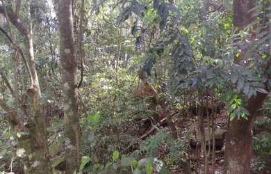 Imagem 3: Terreno à Venda em Gramado