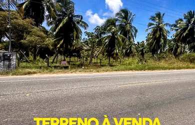 Imagem: O terreno possui 4.500m² de Área e está localizado em Barra