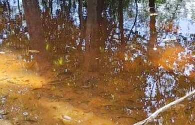 Imagem: O terreno está localizado em Tarumã, Manaus à venda por R$65.000
