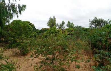 Imagem 4: Vende se sitio em maetinga