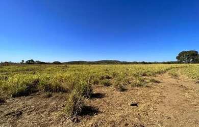 Imagem 7: fazenda dupla aptidão 540 hac