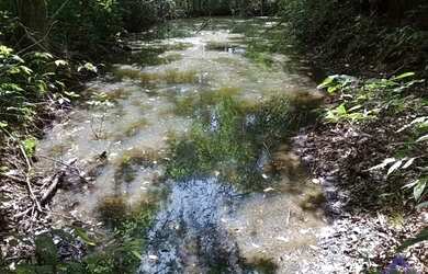 Imagem 11: CHÁCARA SÃO JOSÉ DO CAÍ