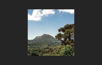 Imagem: O terreno possui 350m² de Área, Imóvel novo e está localizado