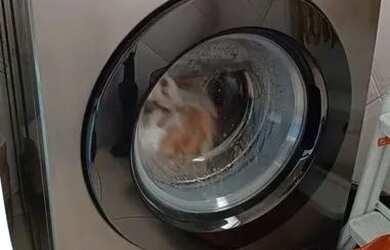 Imagem 16: Apartamento com 1 dormitório, 48 m² - venda por R$ 585.000,00 ou aluguel...