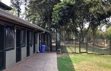 Imagem 7: Casa a venda contemporânea piscina, gourmet, Canil e Gatil