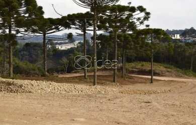 Imagem 2: EXCELENTE TERRENO INDUSTRIAL EM ANA RECH- CAXIAS DO SUL