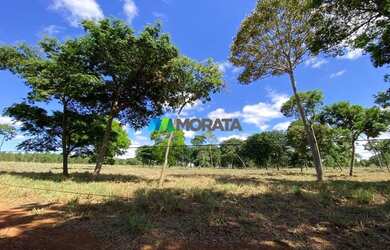 Imagem 11: FAZENDA À VENDA - 1.400 HECTARES - CURVELO MG