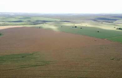 Imagem 13: Fazenda a venda, entre Paracatu e Cristalina / Goiás