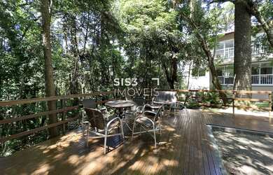 Imagem 15: Terreno cercado pela natureza