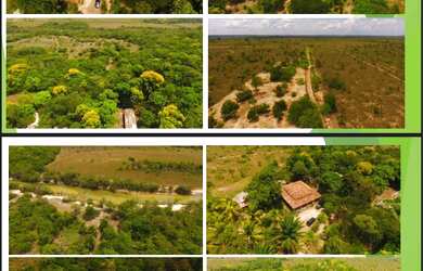 Imagem 3: Vende-se sítio na região do água boa Mais informações e fotos