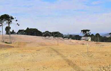 Imagem 14: EXCELENTE TERRENO INDUSTRIAL EM ANA RECH- CAXIAS DO SUL