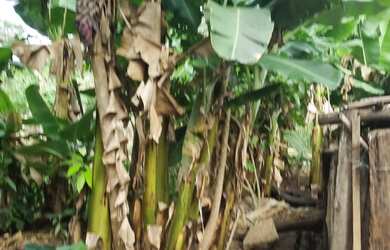 Imagem 8: Chácara 2.660 metros valor 430.000