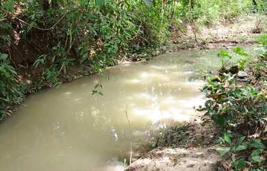 Imagem: A fazenda está localizado em Goiás, GO à venda por R$580.000